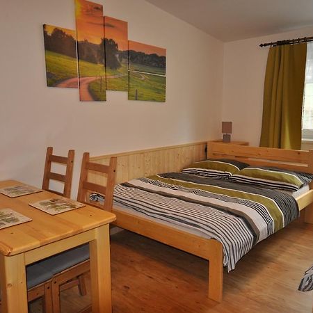 Studio Apartments Lipno 22, 24 Lipno nad Vltavou Δωμάτιο φωτογραφία