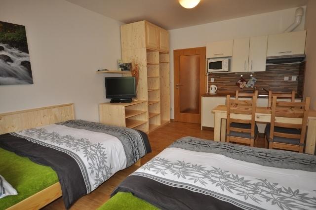 Studio Apartments Lipno 22, 24 Lipno nad Vltavou Δωμάτιο φωτογραφία