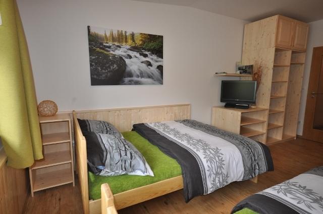 Studio Apartments Lipno 22, 24 Lipno nad Vltavou Δωμάτιο φωτογραφία