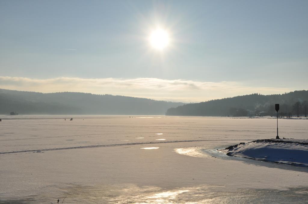 Studio Apartments Lipno 22, 24 Lipno nad Vltavou Δωμάτιο φωτογραφία