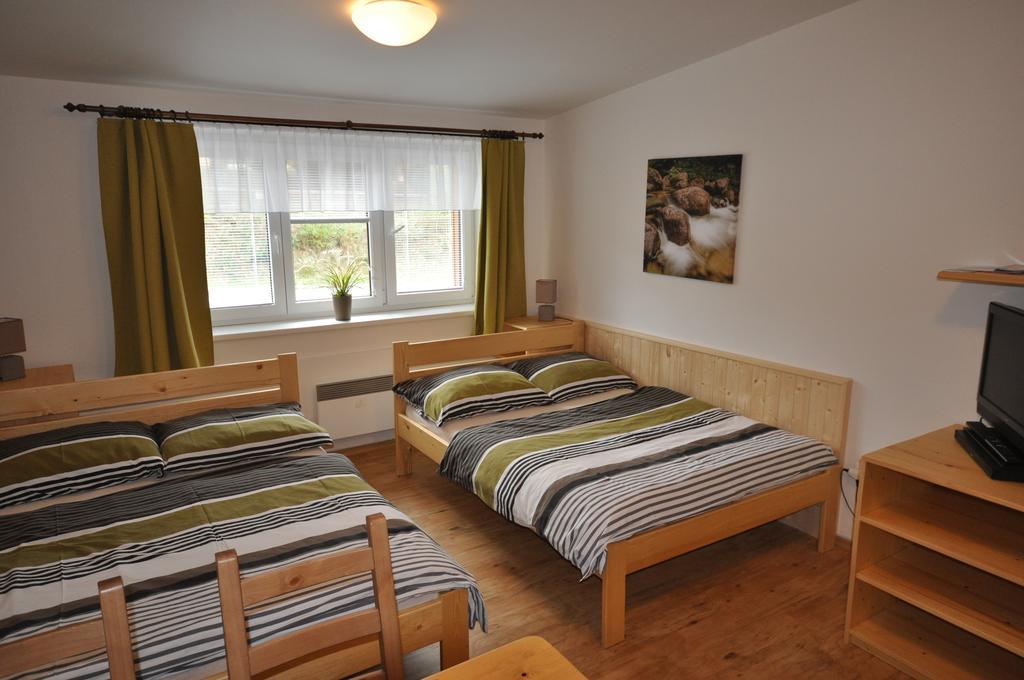 Studio Apartments Lipno 22, 24 Lipno nad Vltavou Δωμάτιο φωτογραφία